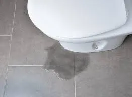 Toilet leaking water