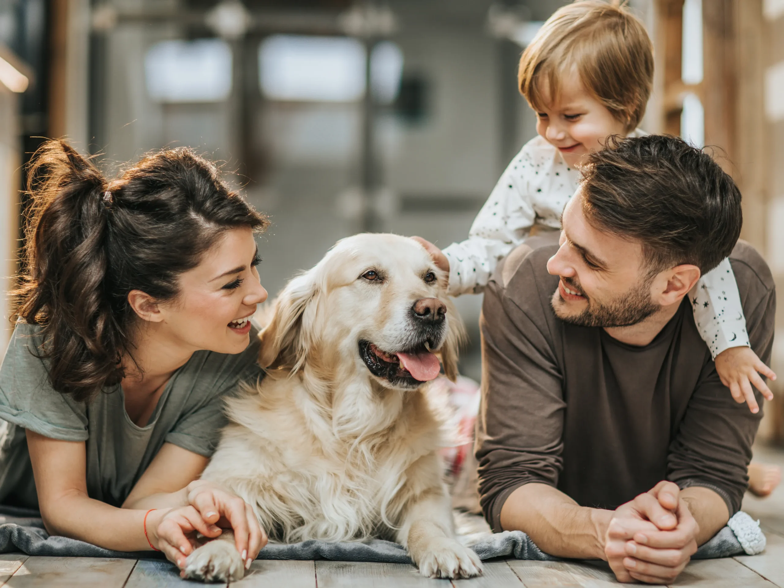 family enjoying time together with dog