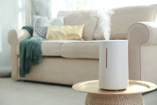 whole house humidifiers vs portable humidifiers