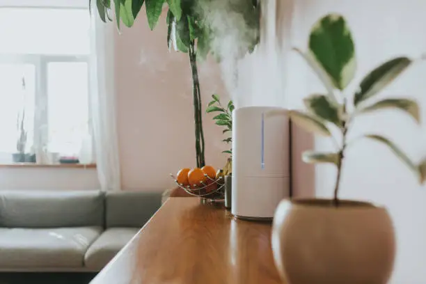 Whole House Humidifiers vs Portable Humidifiers: Which One Do You Need?